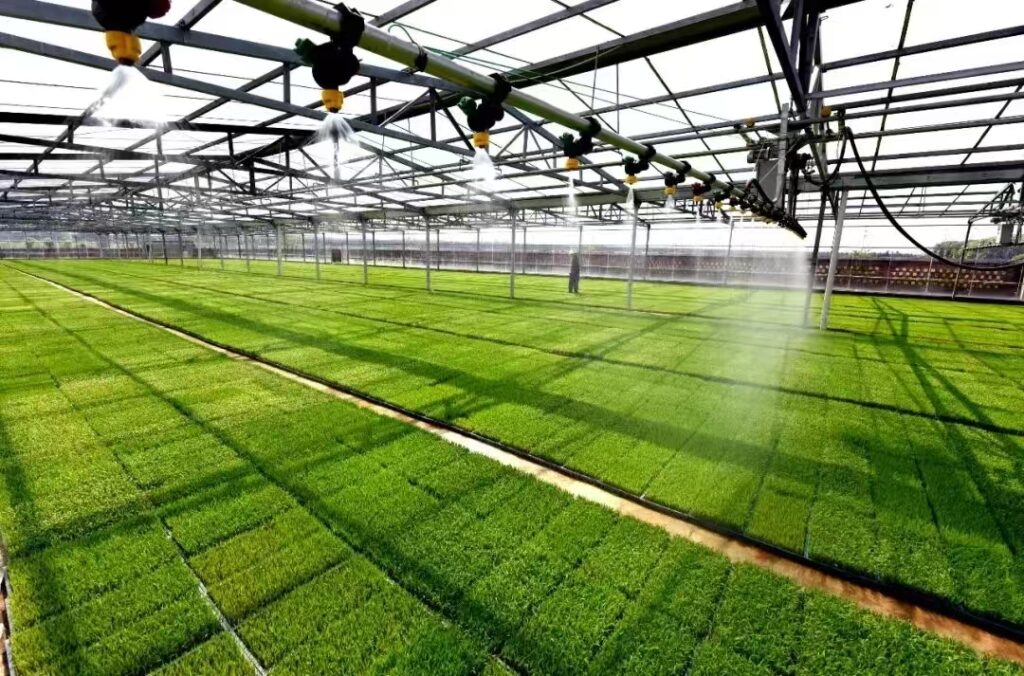 cc8ad4bd254428da68e9083d1a8c0f0